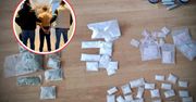 Znaleźli je w jego mieszkaniu. 17-latek próbował uciec przez okno