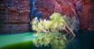 Karijini - kosmiczna atrakcja Australii