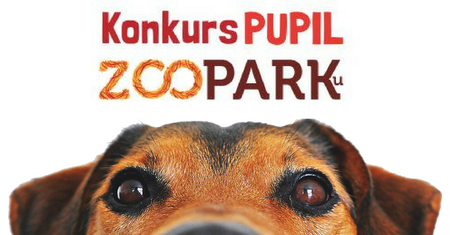 Konkurs „Pupil ZOOPARKU” – wygraj roczny zapas karmy dla swojego psa