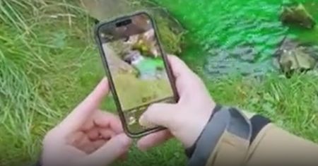 Strażak aż złapał za telefon. Taki widok w parku. "Jak w Chorwacji"