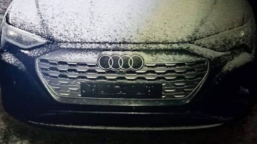 Auto stało zaparkowane w zagajniku