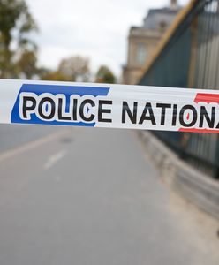 Nie pierwszy taki skandal. Już wcześniej okradano Luwr