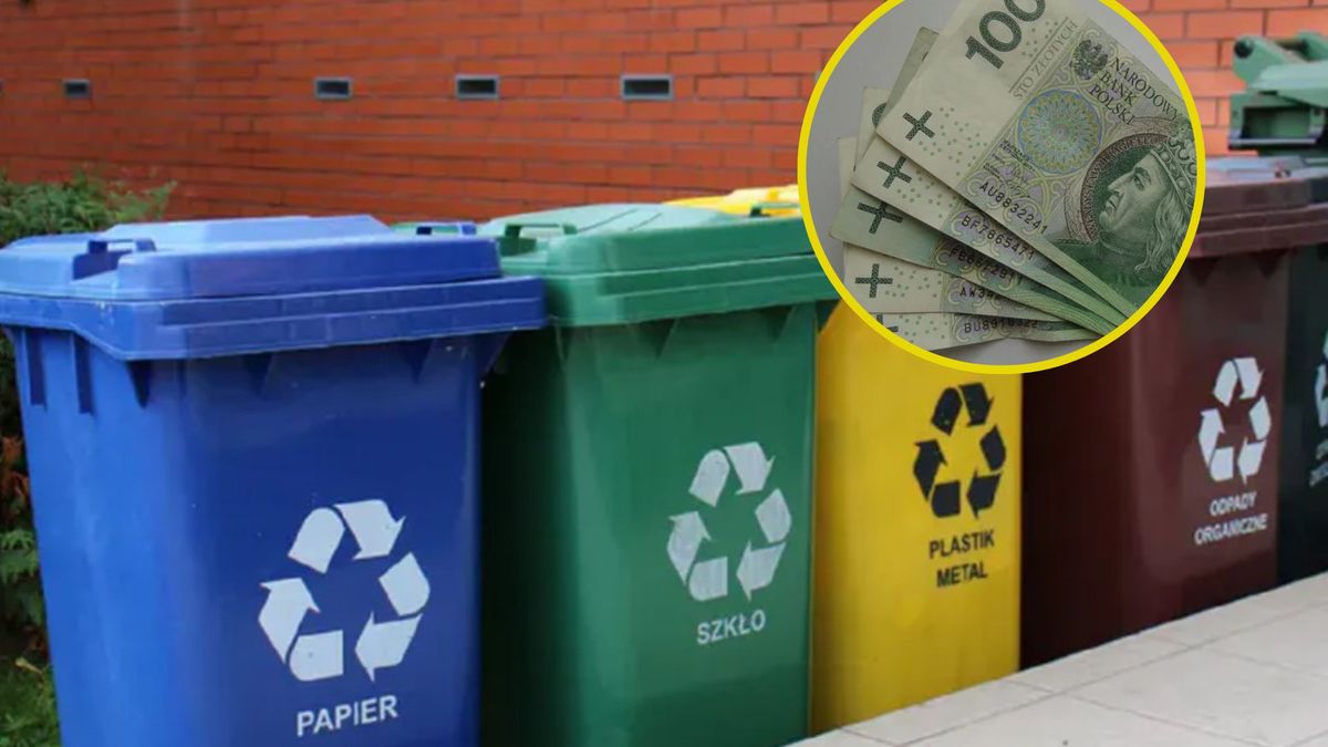 Opłaty za śmieci niższe nawet o połowę. Komu przysługują zniżki?