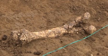 Szczątki Homo georgicus sprzed 1,8 mln lat. Historyczne odkrycie w Gruzji