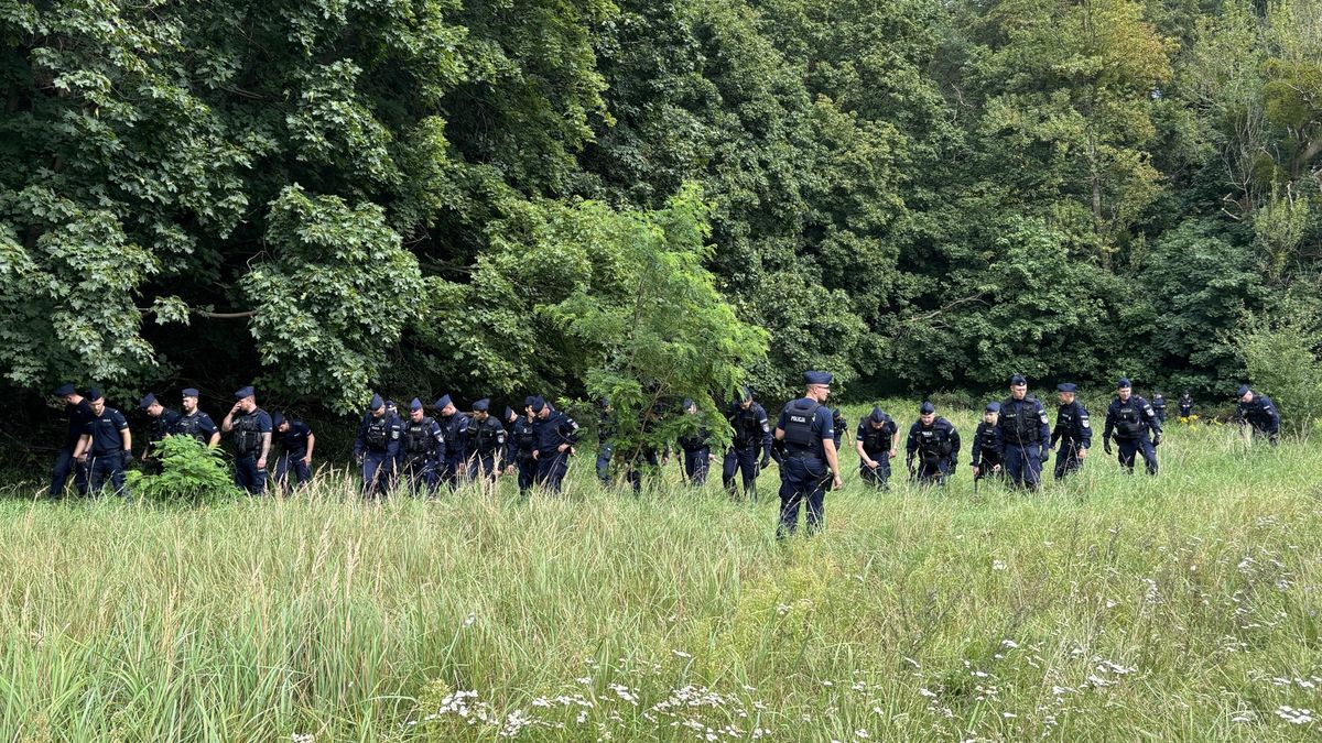 W Gdańsku trwa obława za nietrzeźwym kierowcą [zdj. ilustracyjne] 