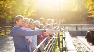 Wrocław: Powitaj wiosnę w zoo. Warsztaty, konkursy, nowe atrakcje i spotkania ze zwierzętami podczas wyjątkowego weekendu rodzinnego