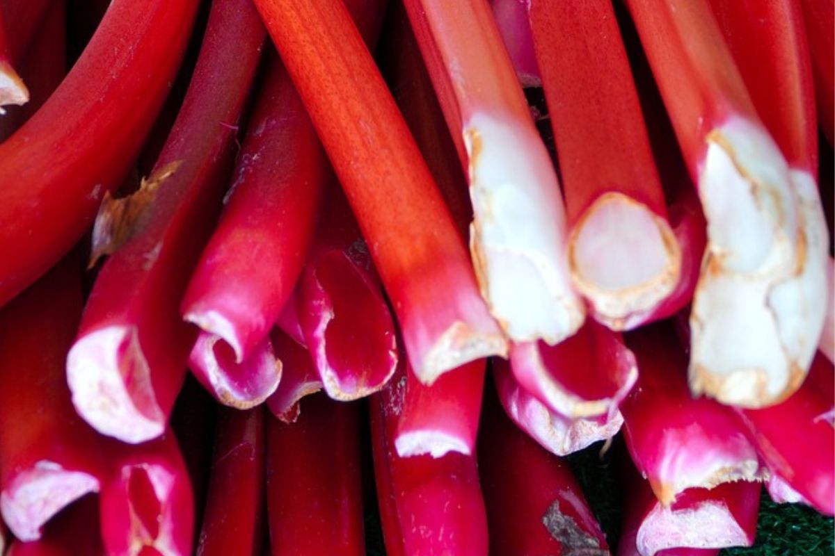 It's worth taking advantage of the benefits of rhubarb while it's in season.