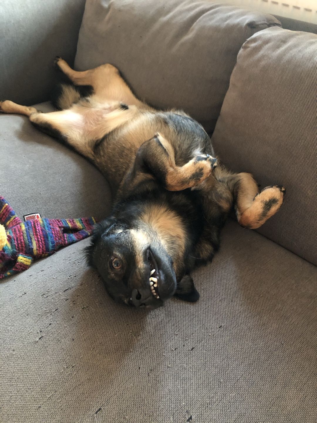 Nowe życie zaczął od zmiany imienia na Grinch