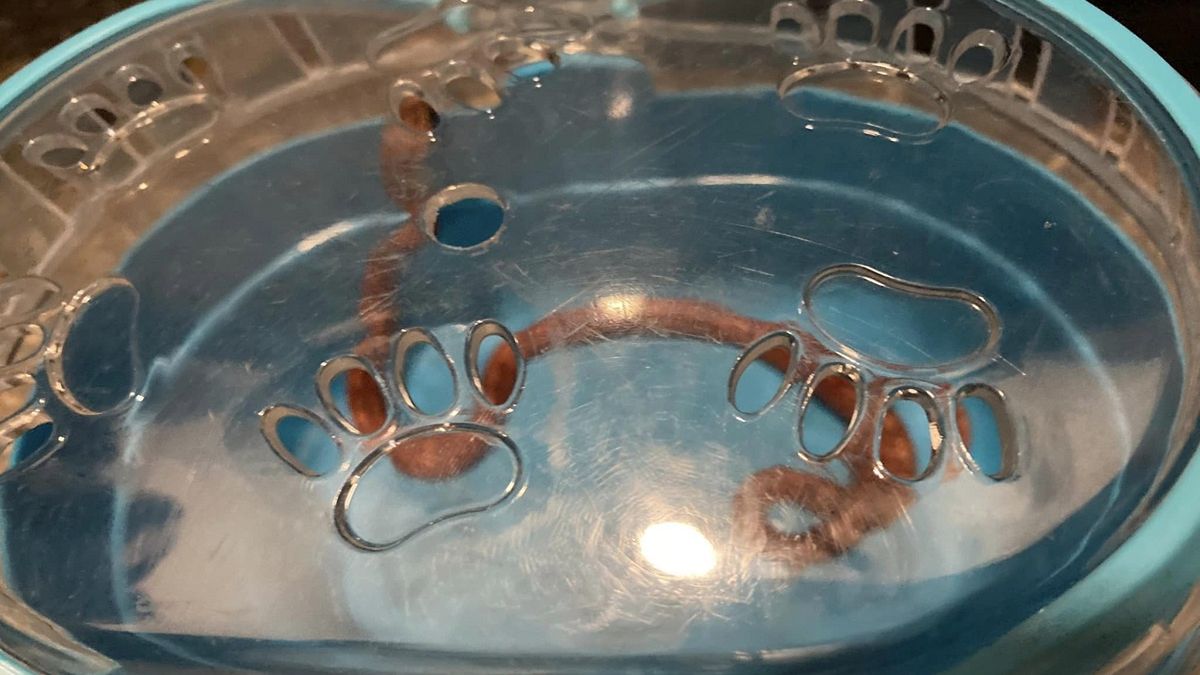 Znalazła to w domu. Była w szoku