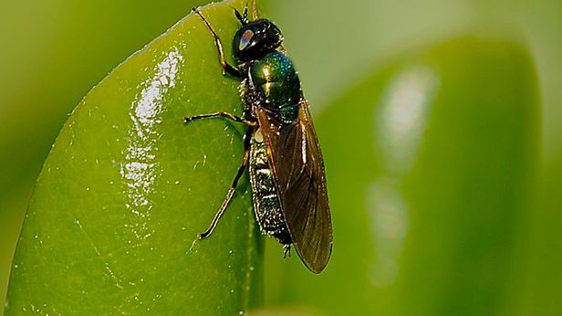 Znany program antywirusowy zwariował! Kasuje zdrowe pliki 1