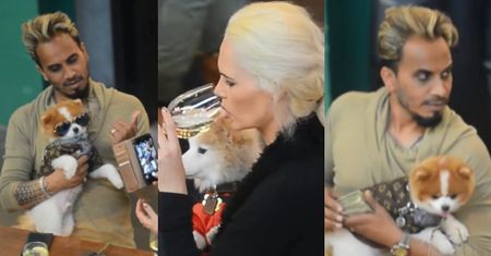 Iwona Burnat z "Żon Hollywood" spędza popołudnie z ukochanym, pieskami i grubym plikiem banknotów w garści (WIDEO)