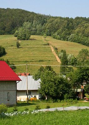 Obraz