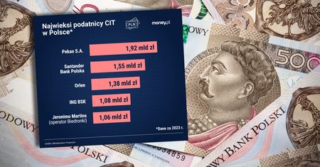 Do państwowej kasy wpłacają miliardy. Oto najwięksi podatnicy w Polsce