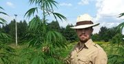 Spróbował uprawy konopi siewnych. "Jedną odmianę rozkradli nam całą"