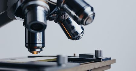 Skandal w Brazylii. Badaczka wyniosła groźne wirusy z laboratorium