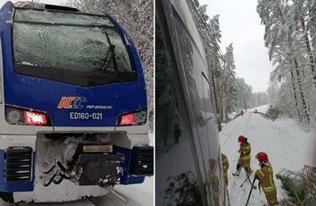 Konar zerwał trakcję. Pasażerowie utknęli w pociągu koło Nidzicy