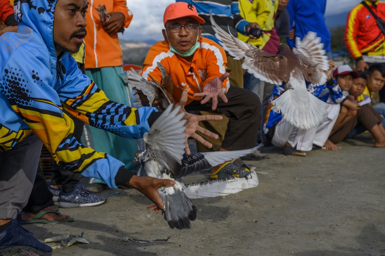 Participants catch male pigeons flying to female pigeons at the racing pigeon competition in Palu, Central Sulawesi, Indonesia on December 21, 2019. In addition to establishing friendship among dove lovers, the competition was also to train the speed of pigeons. (Photo by Basri Marzuki/NurPhoto via Getty Images)