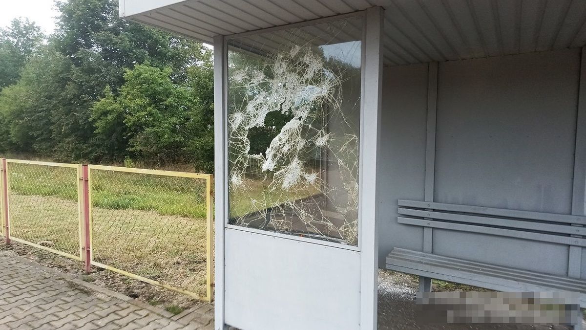 Ogrodniki: 27-latek z Węgier odpowie za zniszczenie wiaty