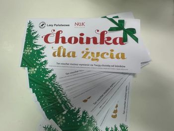Konin: Świąteczna akcja Lasów Państwowych. Choinki dla dawców krwi