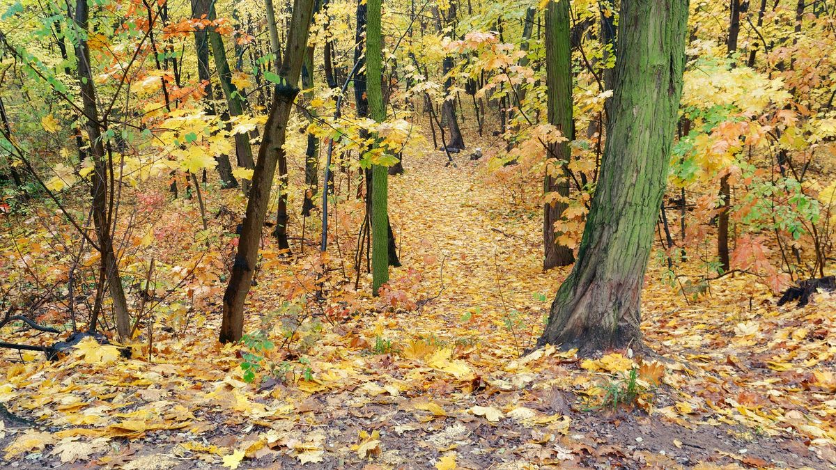 Ustalono przyczynę śmierci 20-latka. Zdj. ilustracyjne 