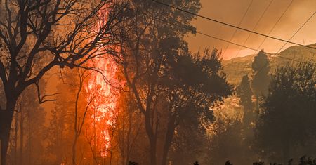 Pożary wybuchają tu zawsze po zmroku. Strażacy wskazali przyczynę