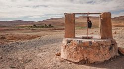 Loaza (loa loa) - występowanie, objawy, diagnostyka, leczenie, profilaktyka