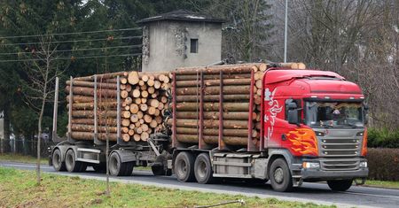 Ciężarówki z drewnem niszczą lokalne drogi. Gminy chcą zmian