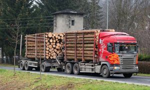 Ciężarówki z drewnem niszczą lokalne drogi. Gminy chcą zmian