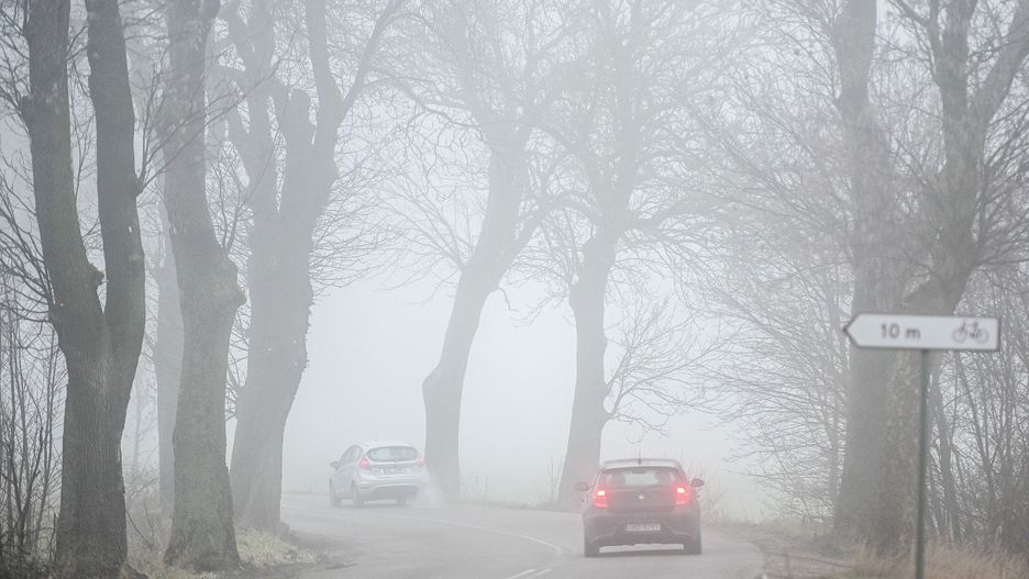 IMGW ostrzega przed gęstymi mgłami. Warunki na drogach mogą być trudne
