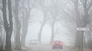 Powiat grodziski: IMGW ostrzega. Gęsta mgła ograniczy widoczność nawet poniżej 200 metrów