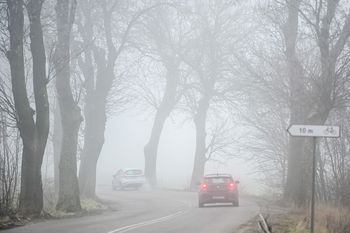 Powiat grodziski: IMGW ostrzega. Gęsta mgła ograniczy widoczność nawet poniżej 200 metrów