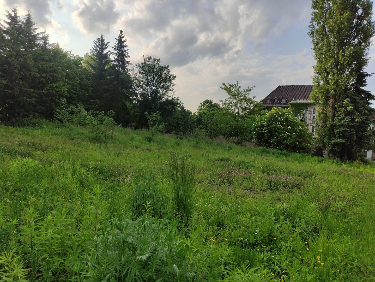 ul. Lubelska i Browarna - Wałbrzych