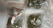 Wielkopolska: Akcja policji. Zabezpieczono ponad 350 g narkotyków