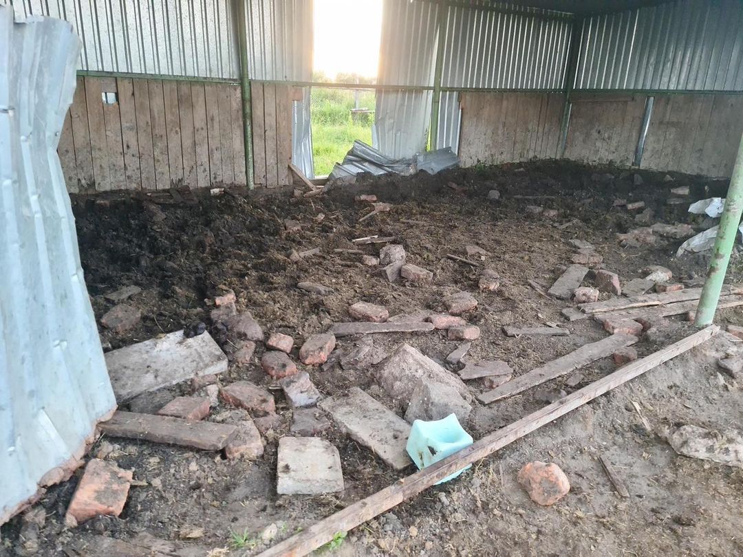 Ekostraż musiała ratować konia Antoniego Gucwińskiego