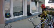 Warszawa. Kot utknął na siódmym piętrze budynku. Na pomoc ruszyli strażacy