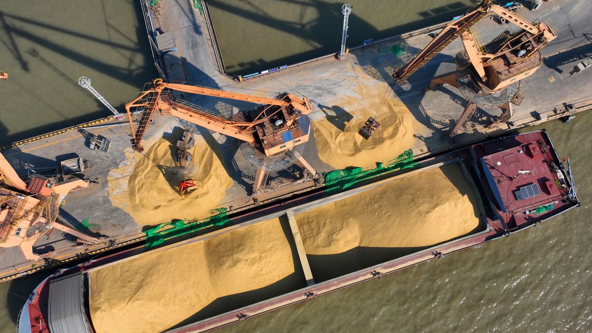 Rozładunek zboża ze statku w porcie Nantong w chińskiej prowincji Jiangsu, styczeń 2023 roku