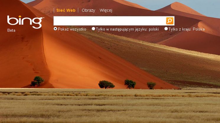 Microsoft straci prawa do marki Bing? 1
