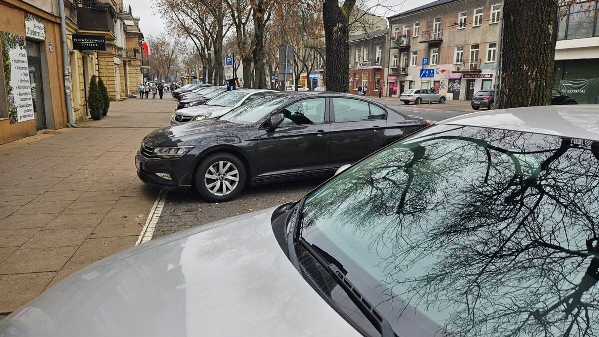 Samochody zaparkowane w Strefie Płatnego Parkowania