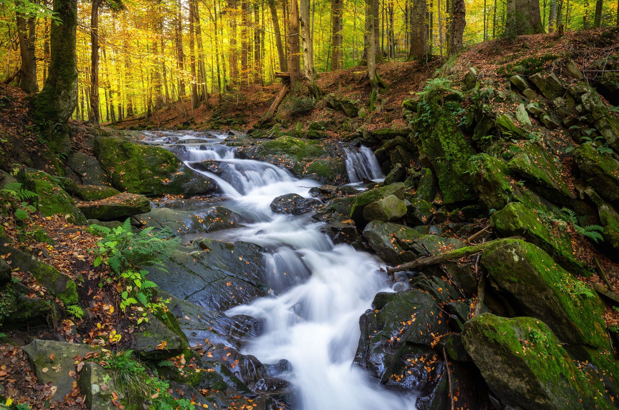Bieszczady. Zdjęcie ilustracyjne