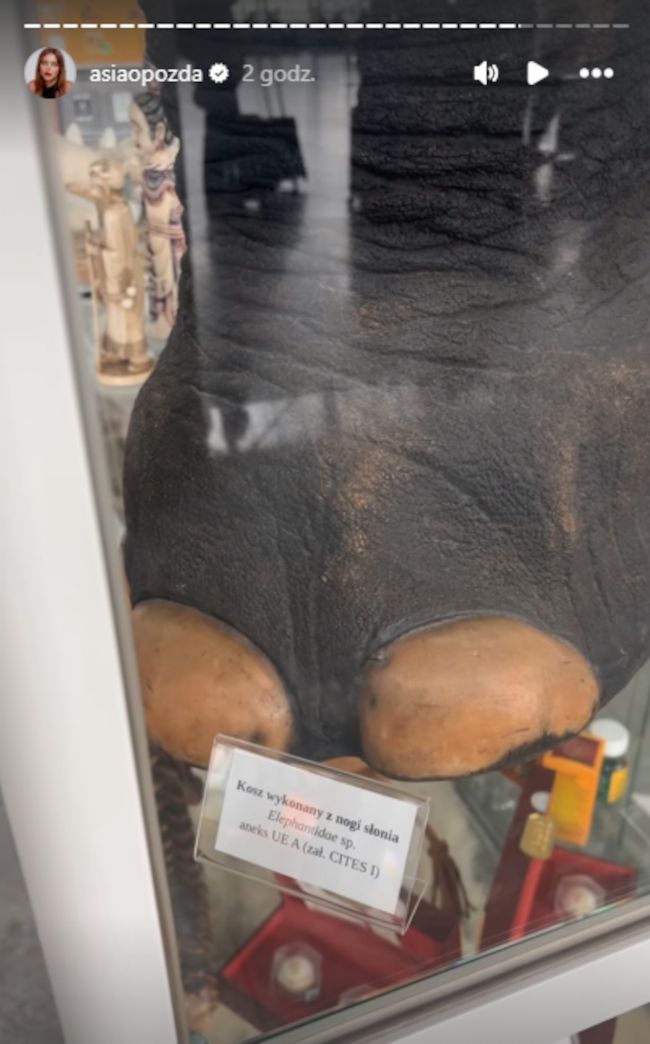 Relacja Joanny Opozdy. Szokujące słowa innej podróżnej