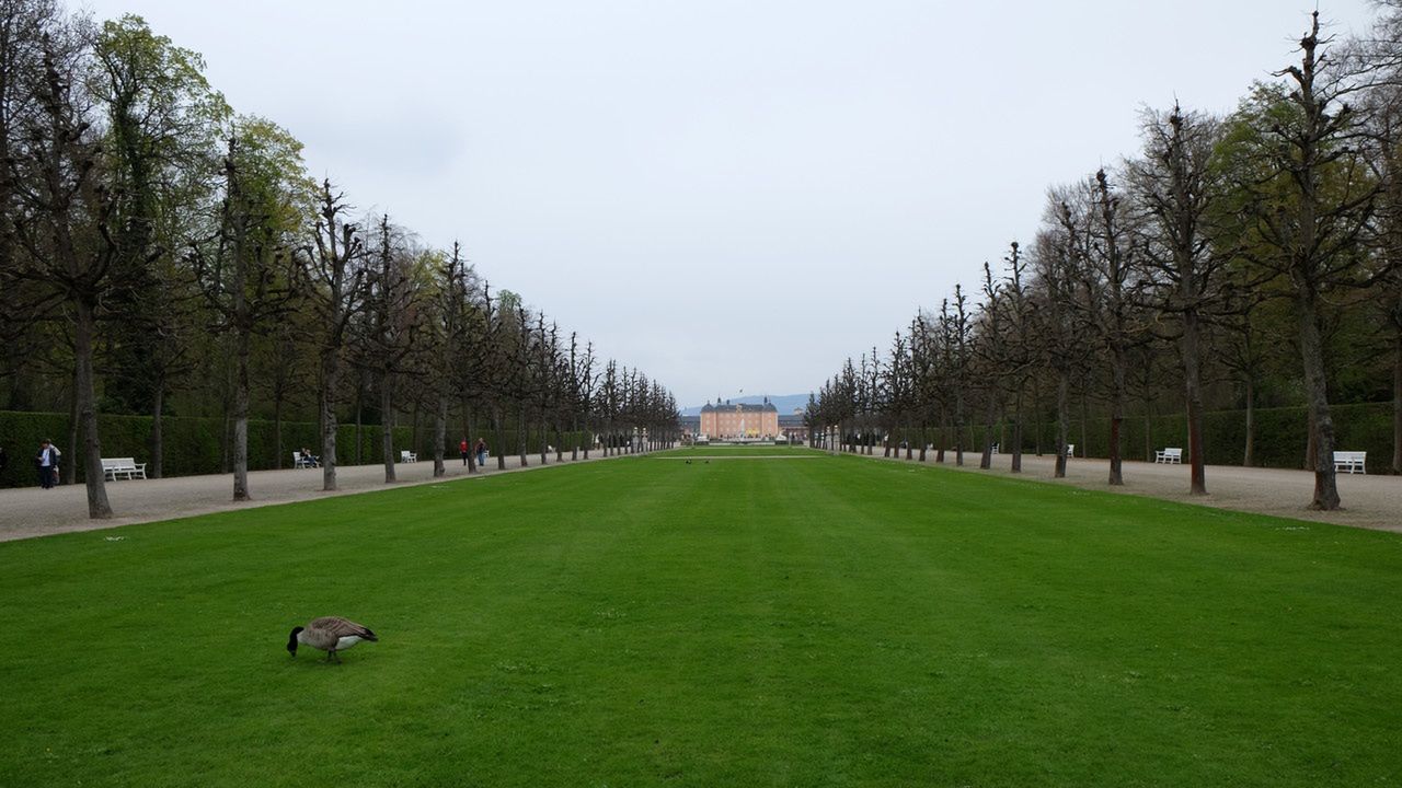Pałac Schwetzingen