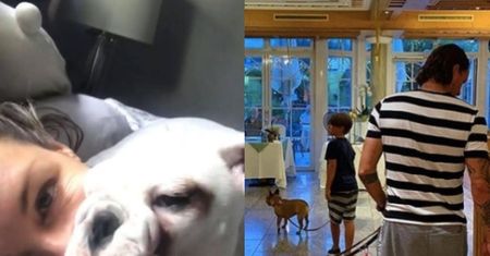 Małgorzata Rozenek-Majdan zatrzymała się w hotelu dla psów: "Najfajniejsze miejsce świata"