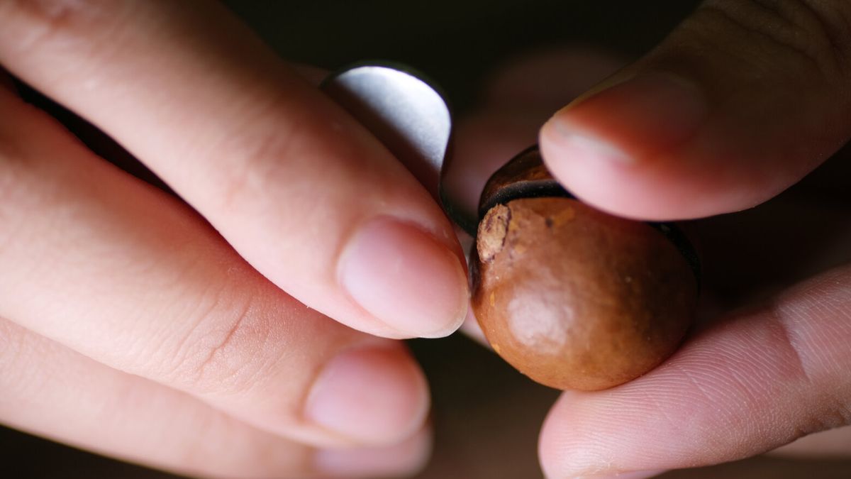 Te produkty są bogate w zdrowe polifenole