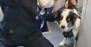 Ziemowit Zieliński o pracy w PKP. "Chłoszczę swoich czytelników biczem satyry"