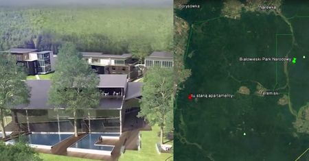W Puszczy Białowieskiej powstaną… apartamenty? "Każde drzewo, każda roślina została zabezpieczona"