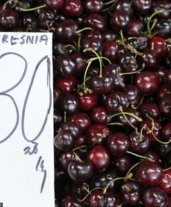 Cała prawda o polskich czereśniach. Porażające wyniki badania