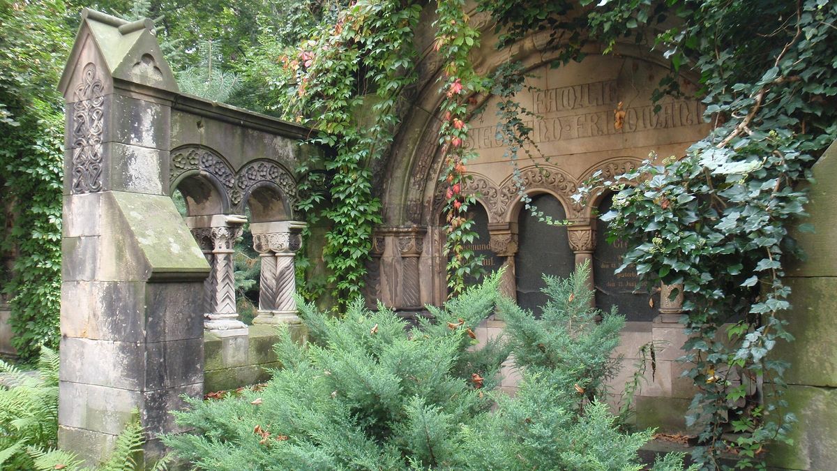 Stary Cmentarz Żydowski we Wrocławiu