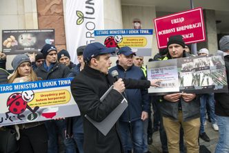 UOKiK grozi Biedronce karą. Holenderskie marchewki i francuską kapustę sprzedawała jako polskie