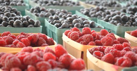 Drogie maliny i porzeczki. Powodem są straty pogodowe