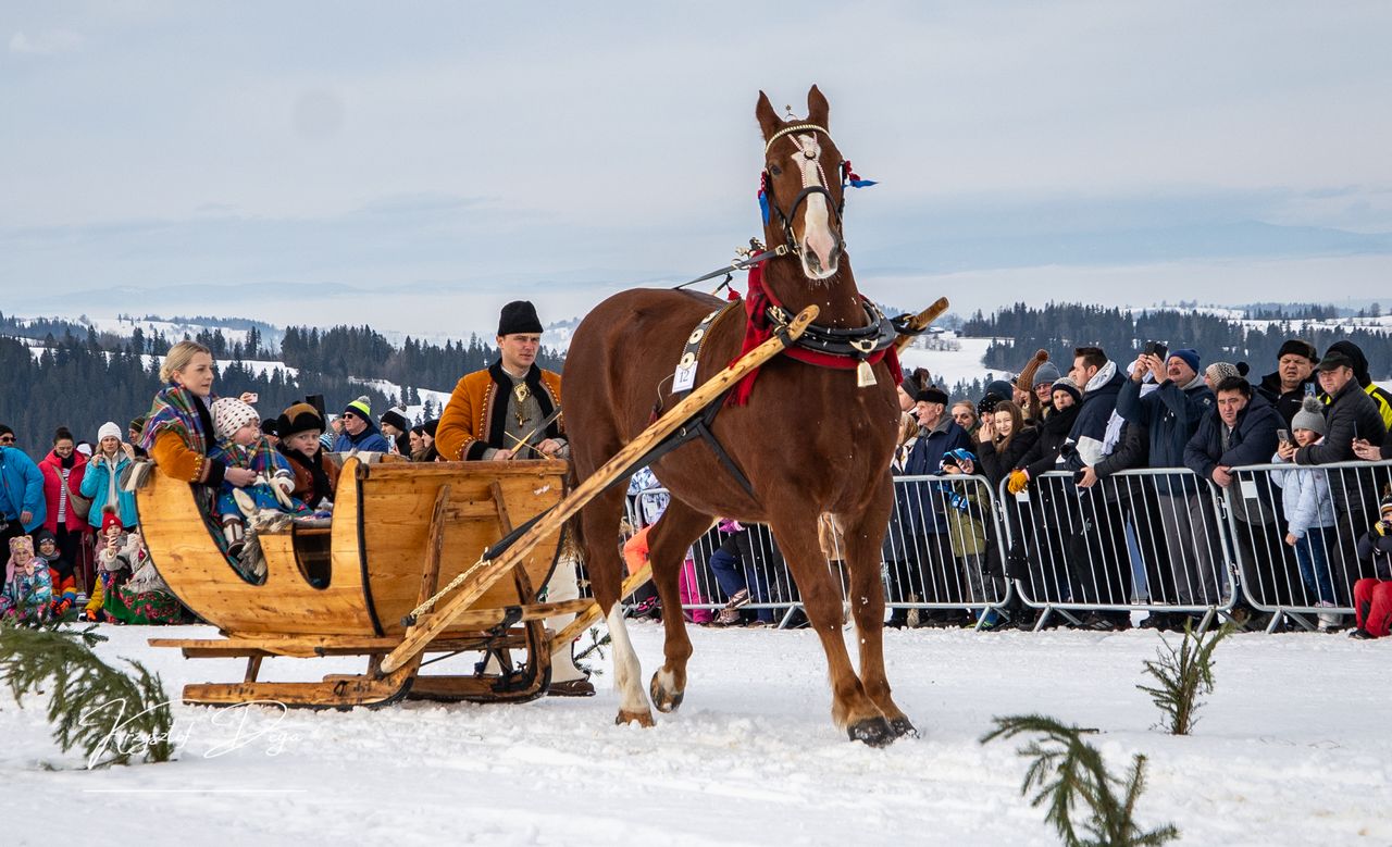 Kumoterki, Parada Gazdowska, skiring, ski-skiring, Ząb, Podhale